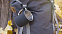 Кружка с карабином "Юта" 300 мл, покрытие soft touch с логотипом  заказать по выгодной цене в кибермаркете AvroraStore