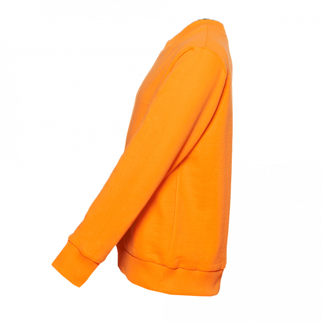 Толстовка  Оранжевый с логотипом  заказать по выгодной цене в кибермаркете AvroraStore