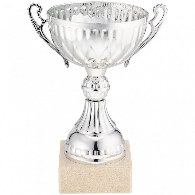 Кубок North King, серебристый с логотипом  заказать по выгодной цене в кибермаркете AvroraStore