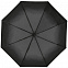 Зонт складной Hoopy с ручкой-карабином, черный с логотипом  заказать по выгодной цене в кибермаркете AvroraStore