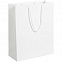 Пакет Ample M, белый с логотипом  заказать по выгодной цене в кибермаркете AvroraStore