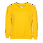 Толстовка  Жёлтый с логотипом  заказать по выгодной цене в кибермаркете AvroraStore