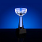 Кубок Cupture, малый с логотипом  заказать по выгодной цене в кибермаркете AvroraStore