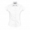 Рубашка женская EXCESS с логотипом  заказать по выгодной цене в кибермаркете AvroraStore