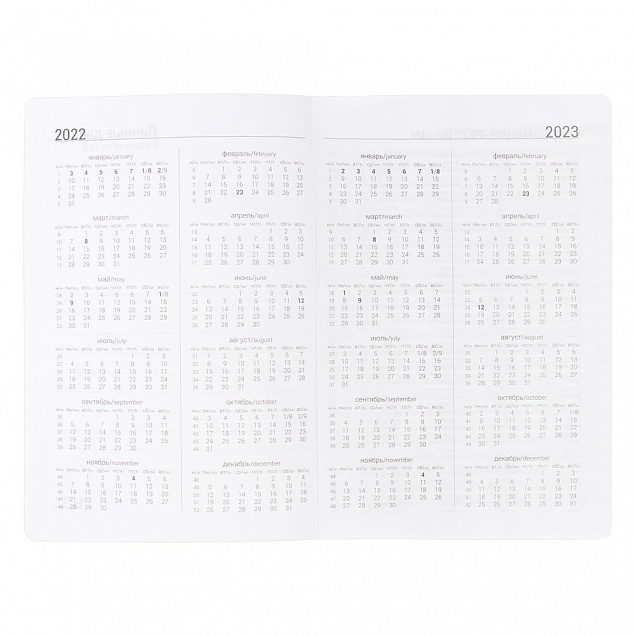 Ежедневник Basis, датированный, серый с логотипом  заказать по выгодной цене в кибермаркете AvroraStore