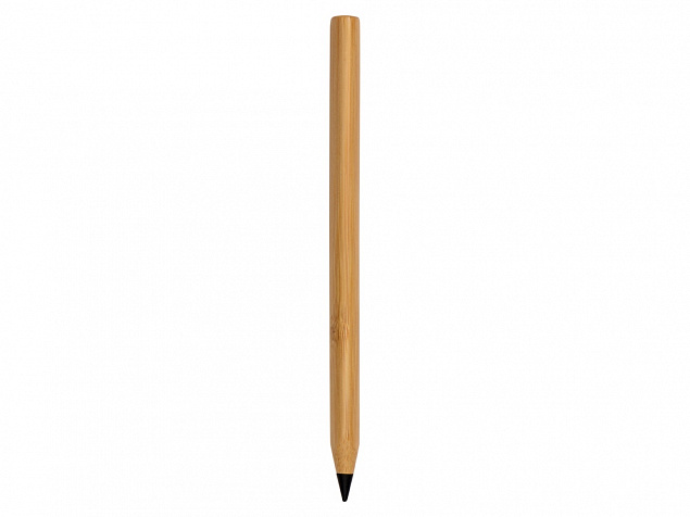 Вечный карандаш Picasso Eco с логотипом  заказать по выгодной цене в кибермаркете AvroraStore