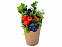 Подарочный набор Ягодный сад с чаем, свечами, кружкой, крем-медом, мылом с логотипом  заказать по выгодной цене в кибермаркете AvroraStore