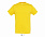 Фуфайка (футболка) REGENT мужская,Жёлтый XXS с логотипом  заказать по выгодной цене в кибермаркете AvroraStore