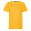 Футболка StanClass Жёлтый с логотипом  заказать по выгодной цене в кибермаркете AvroraStore