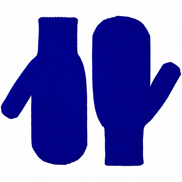 Варежки Life Explorer, синие с логотипом  заказать по выгодной цене в кибермаркете AvroraStore
