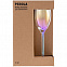 Набор из 2 бокалов для шампанского Perola с логотипом  заказать по выгодной цене в кибермаркете AvroraStore