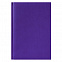 Ежедневник недатированный City Canyon 145х205 мм, без календаря, фиолетовый с логотипом  заказать по выгодной цене в кибермаркете AvroraStore