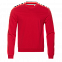 Толстовка StanFancy Красный с логотипом  заказать по выгодной цене в кибермаркете AvroraStore