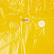 Дождевик BrightWay, желтый с логотипом  заказать по выгодной цене в кибермаркете AvroraStore