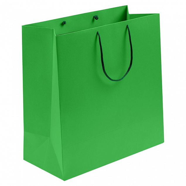 Пакет бумажный Porta, большой, зеленый с логотипом  заказать по выгодной цене в кибермаркете AvroraStore