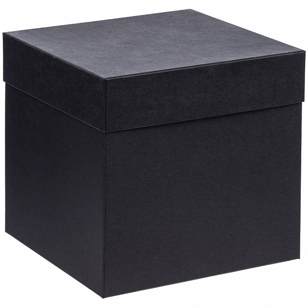 Коробка Cube M, черная с логотипом  заказать по выгодной цене в кибермаркете AvroraStore