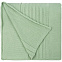Плед Pail Tint, зеленый (мятный) с логотипом  заказать по выгодной цене в кибермаркете AvroraStore