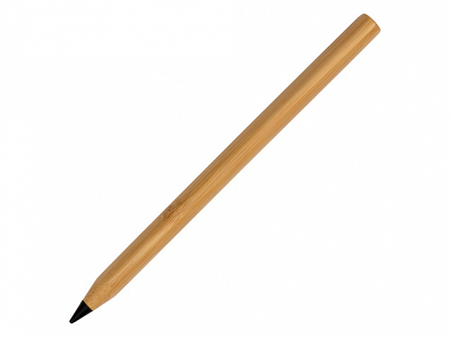 Вечный карандаш Picasso Eco с логотипом  заказать по выгодной цене в кибермаркете AvroraStore