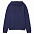 Худи унисекс Phoenix, голубое с логотипом  заказать по выгодной цене в кибермаркете AvroraStore