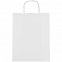 Пакет бумажный Willy, малый, белый с логотипом  заказать по выгодной цене в кибермаркете AvroraStore