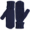 Варежки Nordkyn, синие с логотипом  заказать по выгодной цене в кибермаркете AvroraStore