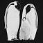 Свитшот детский Like a Penguin, черный с логотипом  заказать по выгодной цене в кибермаркете AvroraStore