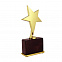 Статуэтка "Звезда", золото с логотипом  заказать по выгодной цене в кибермаркете AvroraStore
