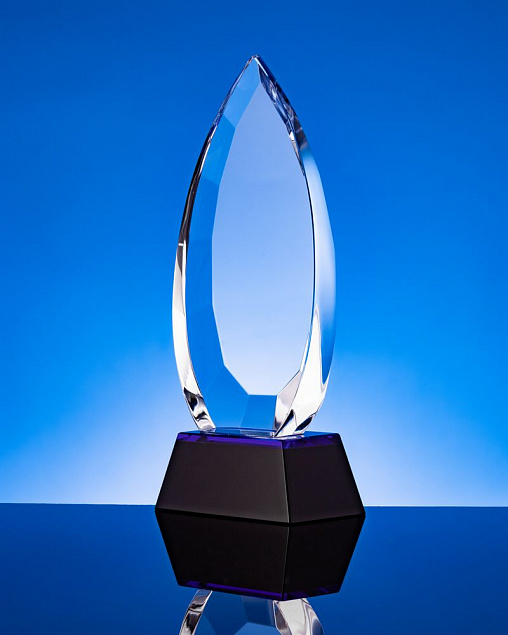Награда Droplet с логотипом  заказать по выгодной цене в кибермаркете AvroraStore