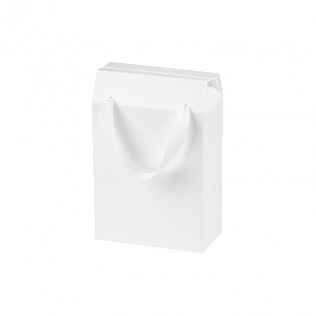 Подарочная коробка-пакет универсальная малая, белая, 186х277х100 мм (с ложементом) с логотипом  заказать по выгодной цене в кибермаркете AvroraStore