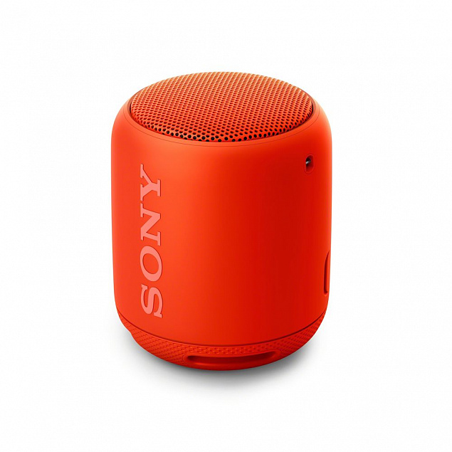 Беспроводная колонка Sony SRS-10, красная с логотипом  заказать по выгодной цене в кибермаркете AvroraStore