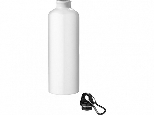 Бутылка для воды с карабином «Oregon», 770 мл с логотипом  заказать по выгодной цене в кибермаркете AvroraStore