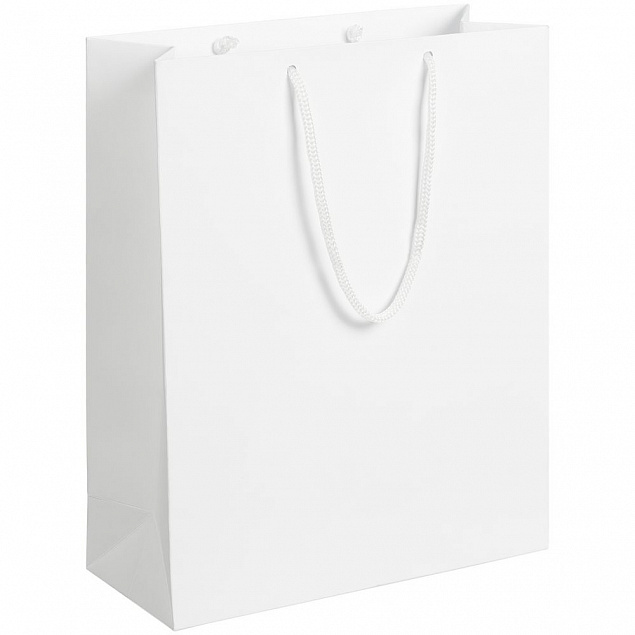 Пакет Ample M, белый с логотипом  заказать по выгодной цене в кибермаркете AvroraStore