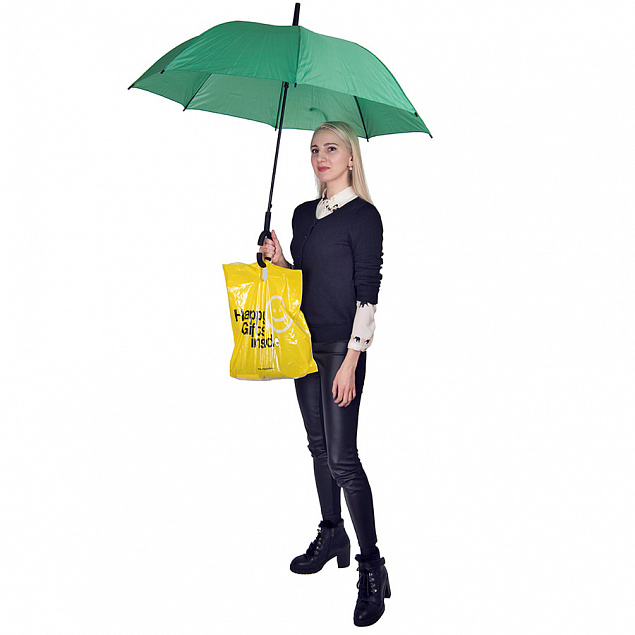 Зонт-трость HALRUM, пластиковая ручка, полуавтомат с логотипом  заказать по выгодной цене в кибермаркете AvroraStore