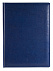 Еженедельник NEBRASKA, датированный, синий с логотипом  заказать по выгодной цене в кибермаркете AvroraStore