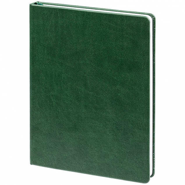 Ежедневник New Latte, недатированный, зеленый с логотипом  заказать по выгодной цене в кибермаркете AvroraStore