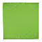 Платок-бандана BANDANA - Светло-зеленый YY с логотипом  заказать по выгодной цене в кибермаркете AvroraStore