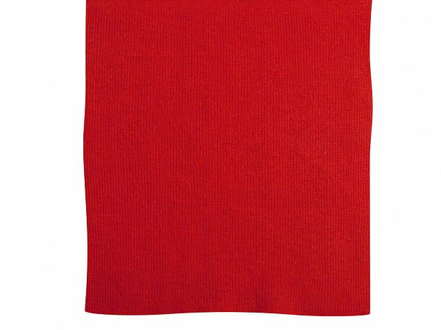 Шарф Dunant, красный с логотипом  заказать по выгодной цене в кибермаркете AvroraStore