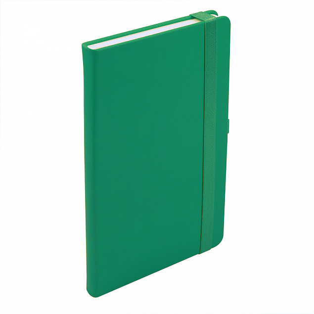 Ежедневник недатированный HAMILTON, A5, ярко-зеленый, кремовый блок с логотипом  заказать по выгодной цене в кибермаркете AvroraStore
