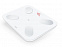 Умные диагностические весы Picooc S1 Pro White V2 (6924917717384), белый с логотипом  заказать по выгодной цене в кибермаркете AvroraStore