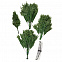 Искусственная ель Ms.Tree, 210 см с логотипом  заказать по выгодной цене в кибермаркете AvroraStore