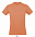 Фуфайка (футболка) REGENT мужская,Зеленое яблоко 3XL с логотипом  заказать по выгодной цене в кибермаркете AvroraStore
