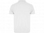 Рубашка поло Austral мужская, белый с логотипом  заказать по выгодной цене в кибермаркете AvroraStore