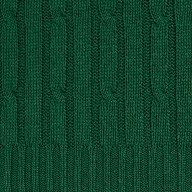 Плед Remit, темно-зеленый с логотипом  заказать по выгодной цене в кибермаркете AvroraStore