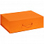 Коробка Big Case, оранжевая с логотипом  заказать по выгодной цене в кибермаркете AvroraStore