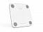 Умные диагностические весы Picooc Mini Pro V2 (6924917717377), белый с логотипом  заказать по выгодной цене в кибермаркете AvroraStore