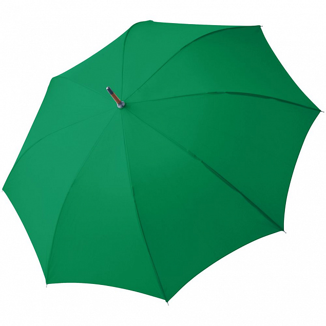Зонт-трость Oslo AC, зеленый с логотипом  заказать по выгодной цене в кибермаркете AvroraStore