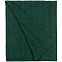 Плед Trenza, зеленый с логотипом  заказать по выгодной цене в кибермаркете AvroraStore