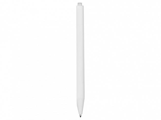 Ручка пластиковая шариковая Pigra P01 с логотипом  заказать по выгодной цене в кибермаркете AvroraStore