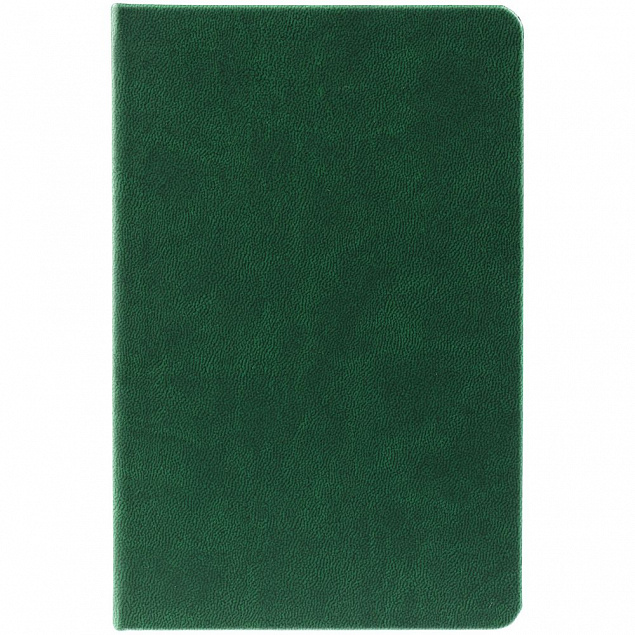 Ежедневник Base Mini, недатированный, зеленый с логотипом  заказать по выгодной цене в кибермаркете AvroraStore