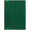 Ежедневник Vivian, недатированный, зеленый с логотипом  заказать по выгодной цене в кибермаркете AvroraStore